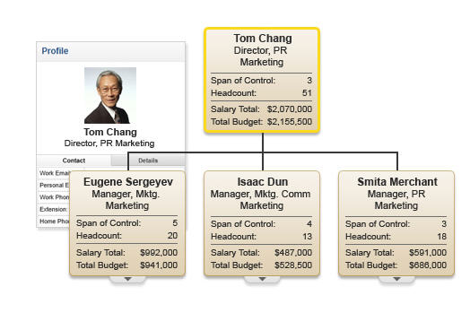 Organizational charting software